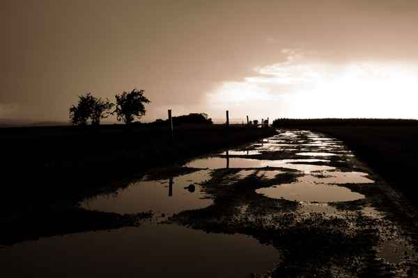 Nach dem Gewitter