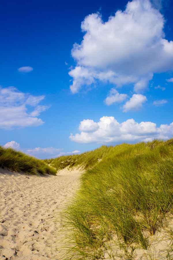 Strandweg mit Dünen_hoch