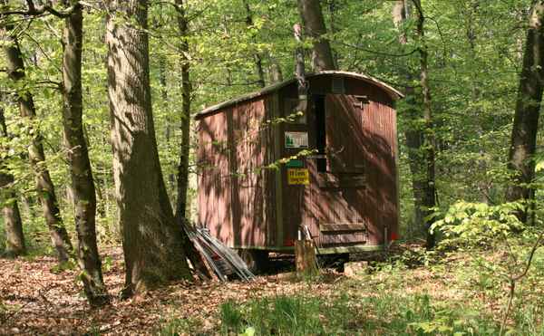 holzfäller häusle