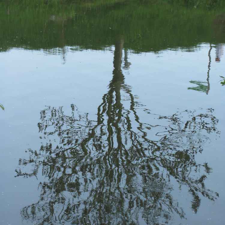 Wasserspiele1
