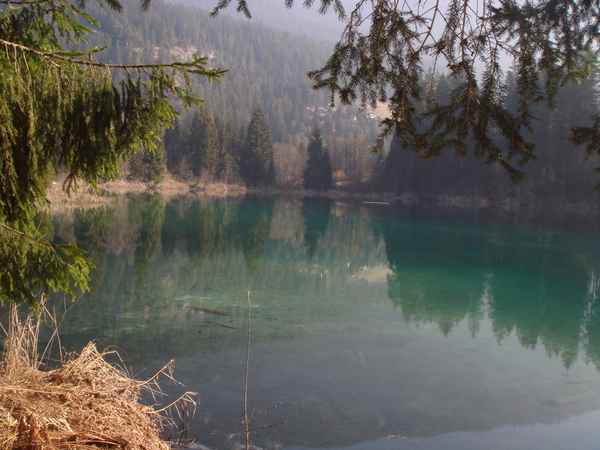 Gaumasee