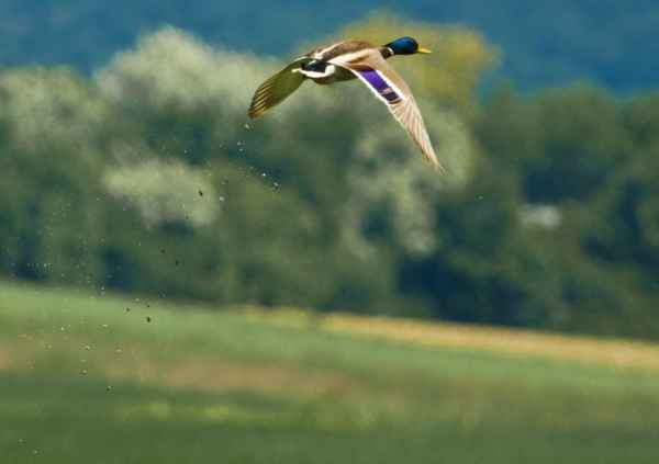 Abflug!