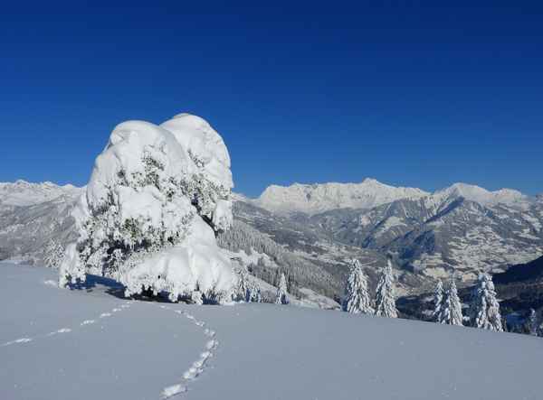 12.12.12 Fantastischer Adventstag