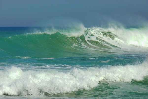 immer in Bewegung...