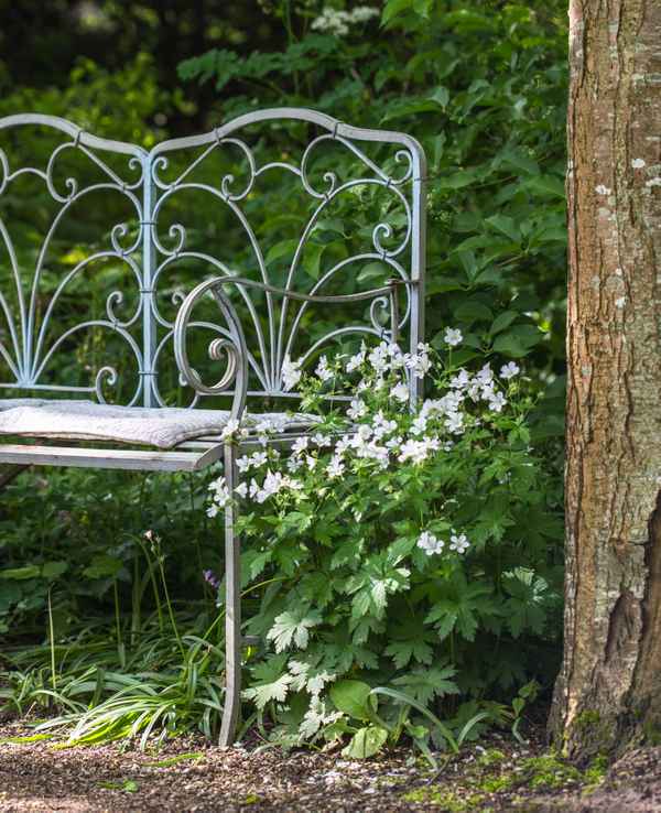 Lauschige Gartenbank