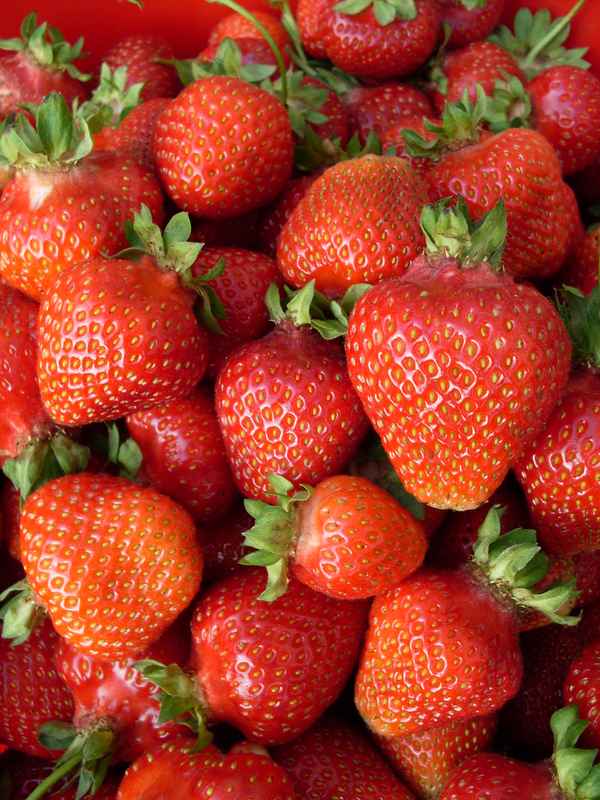 Erdbeeren 2