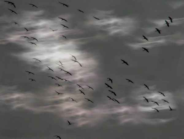 ..der Blick nach oben!