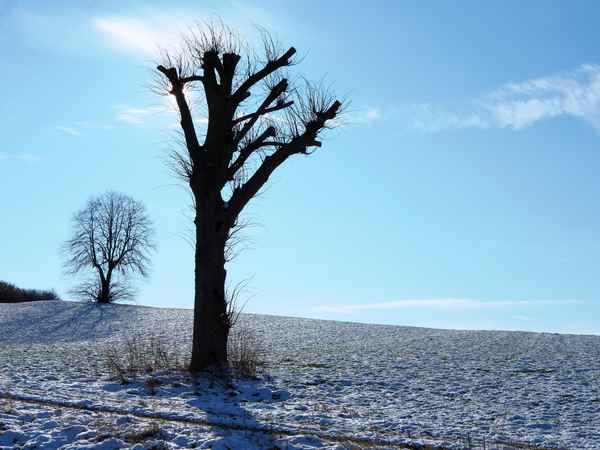 Das Blau