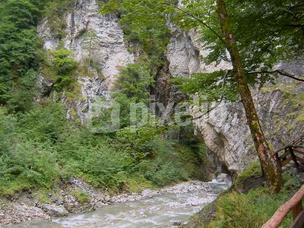 Liechtenstein-Klamm 9