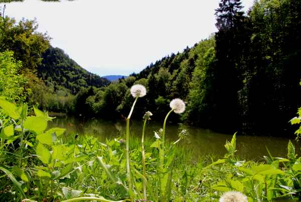 Am Sonnenweg