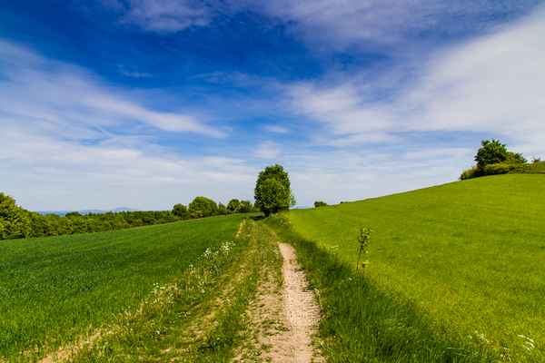 Der Mai ist gekommen