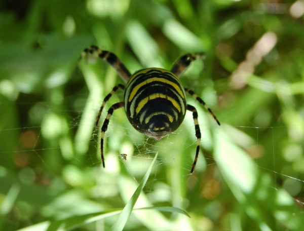 Ein schöner Rücken...