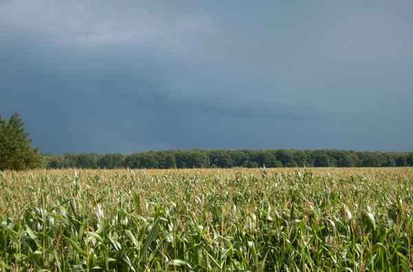 nach Blitz und Donner