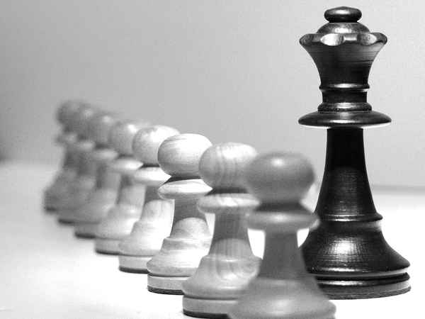 alle sind gleich - einige sind gleicher II