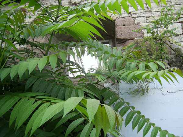 Mauer am Carrée-Parkplatz - Göttingen
