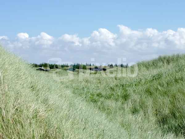 An einem Sommertag in den Dünen
