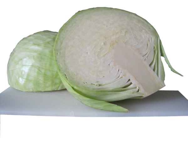 Weisskohl