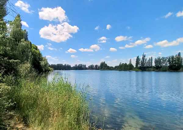 am Waldsee