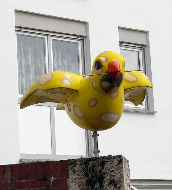 Ulm 7