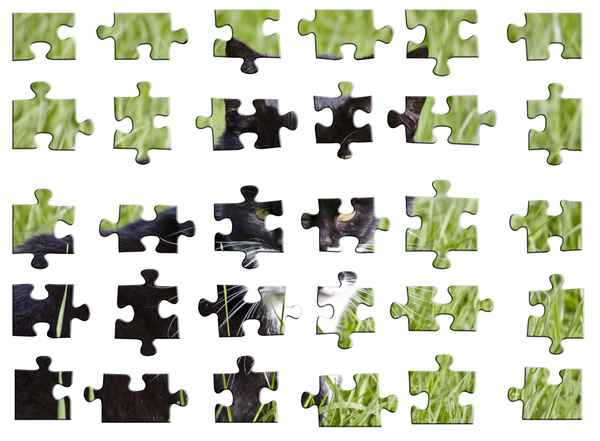 Katzenpuzzle