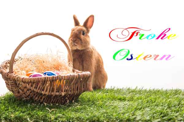 Osterhase