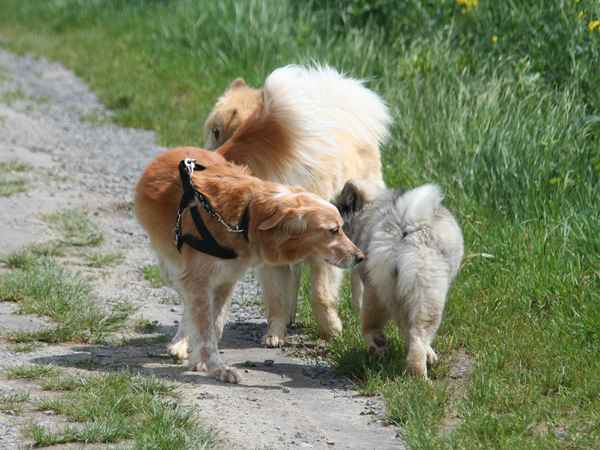 Schnupperrunde