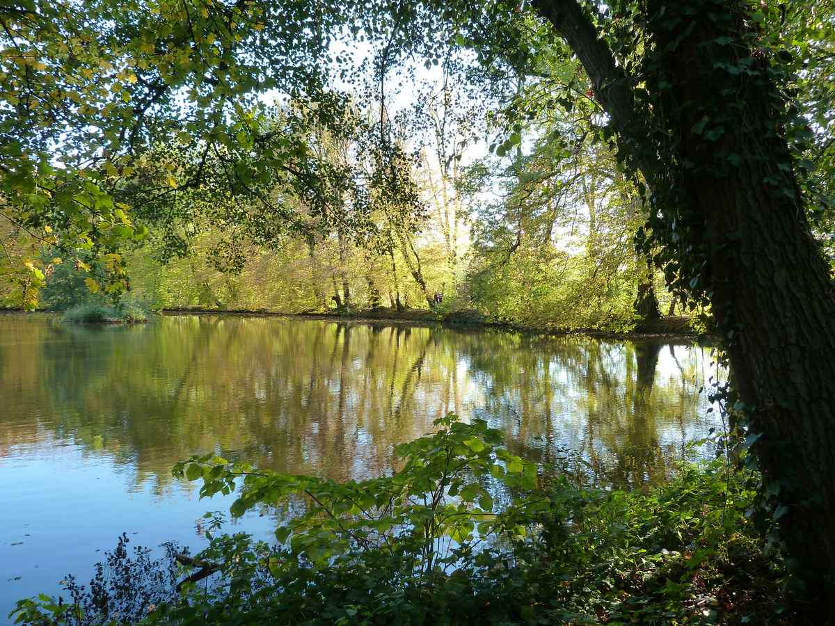 Herbststimmung 2