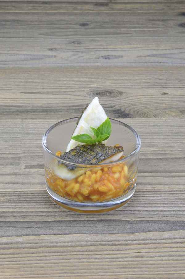 Goldbrasse auf Tomatenrisotto