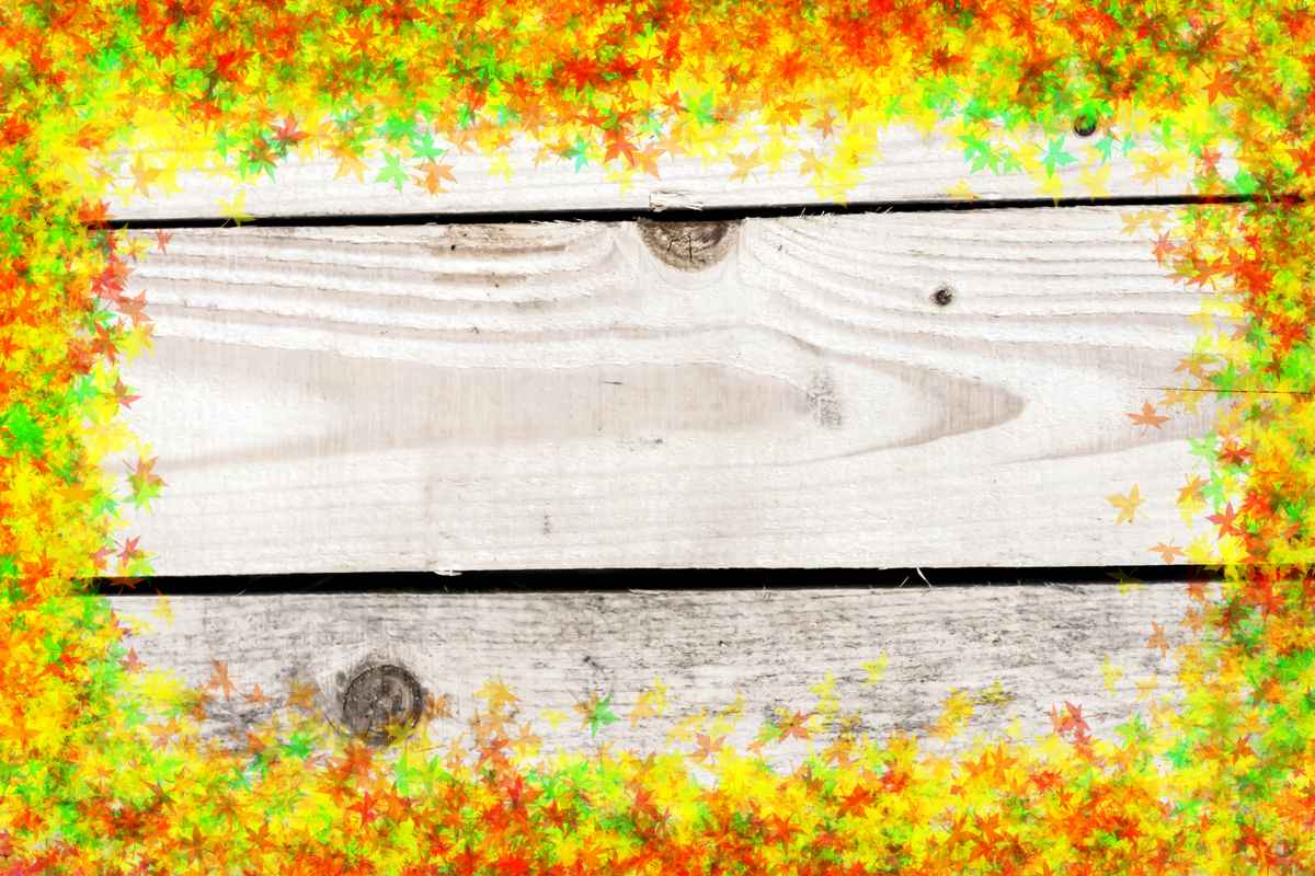 Kleine bunte Blätter