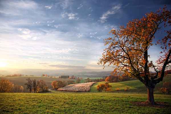 Herbststimmung