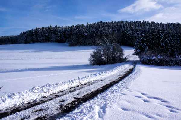 Weg in den Winterwald