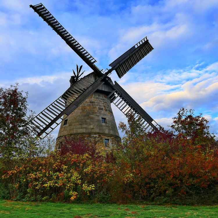 Windmühle Eisbergen (Röckemann´s Mühle)