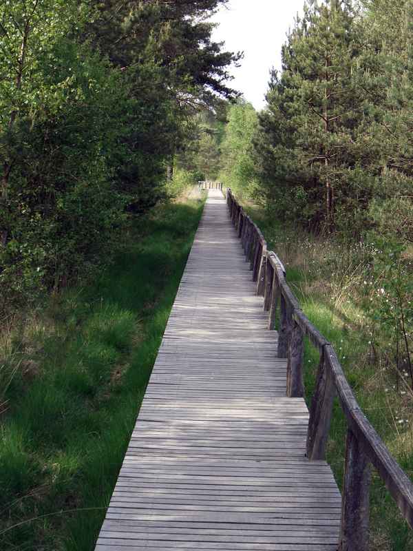 Weiter auf dem Holzsteg