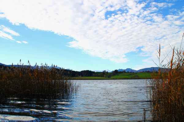Herbstwandertag am Riegsee 05