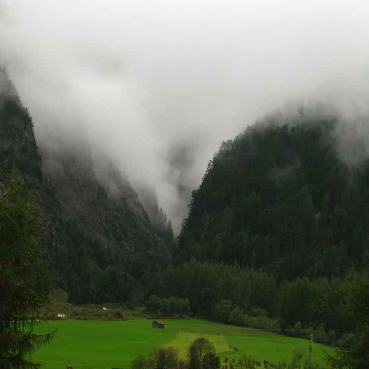 Nebel in der Geisterschlucht