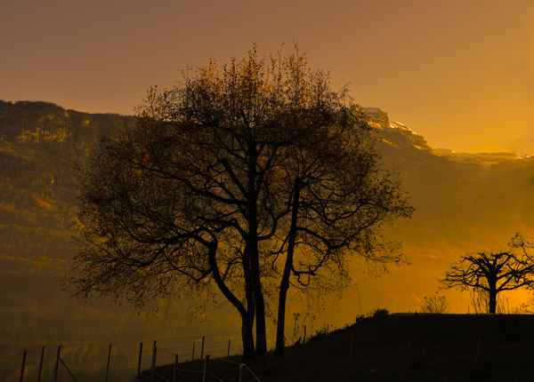 November-Abend am See