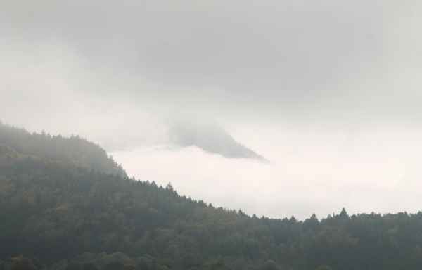 Ein Tag im Nebel 05