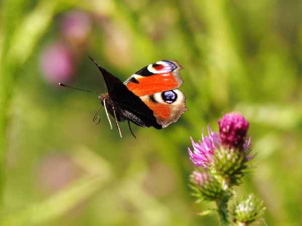 von einem ort zum andern