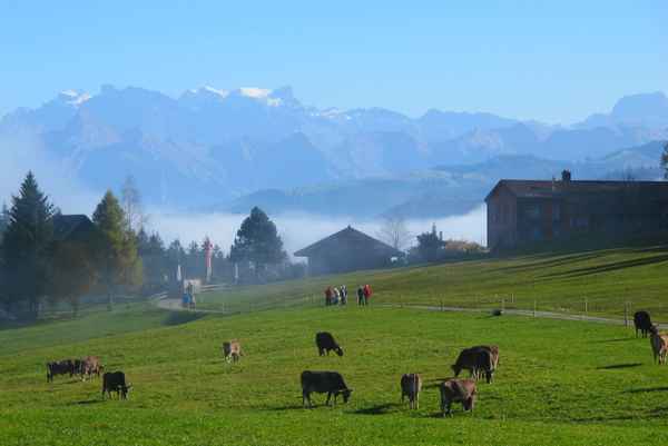 Dem Nebel entronnen