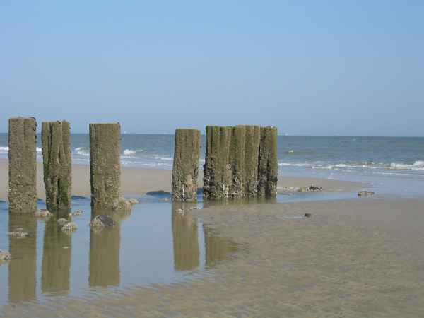 Am Meer