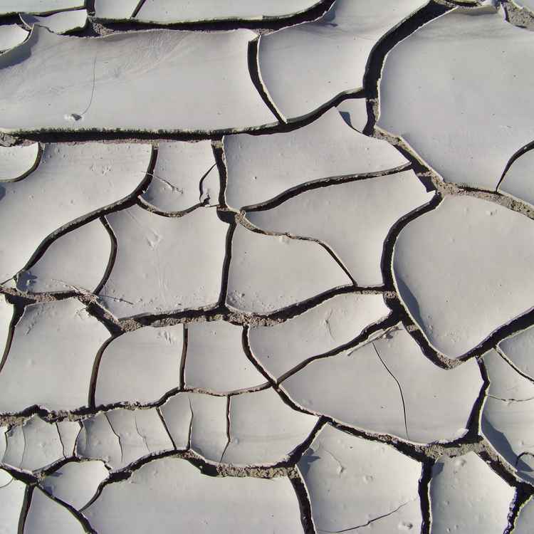 Ausgetrocknetes Flussbett