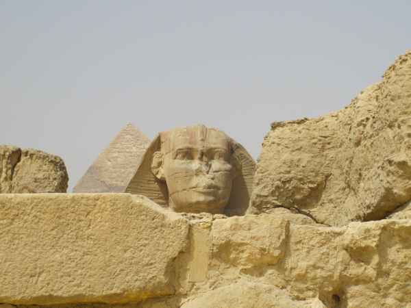 Der große Sphinx