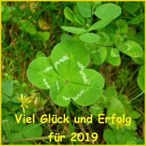 Viel Glück für 2019