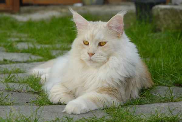 Ich find mich schön!