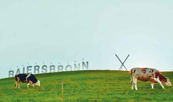 Viehweide mit Baiersbronn-Logo