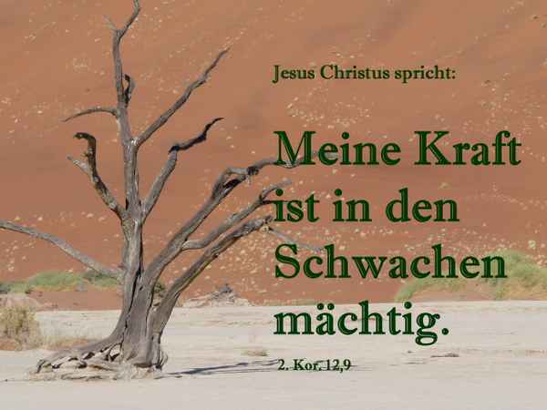 Jahreslosung 2012 (8a)