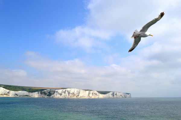 Kanalküste bei Dover