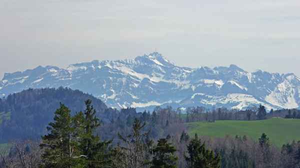 Fernsicht zum Säntis