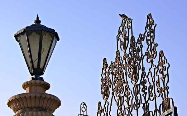 Birla Temple (Laxmi Naryan Tempel)   13