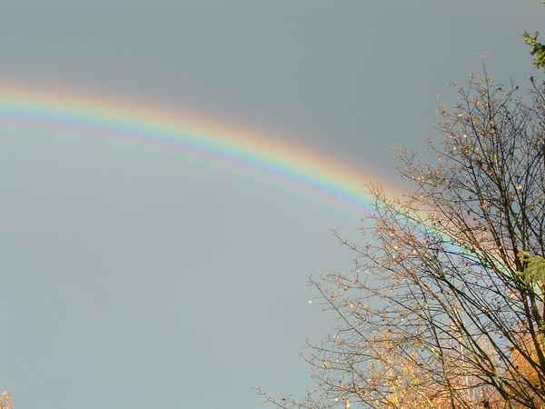 Regenbogen